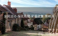 全民活动-探花视频-彩蛋收集-策略深挖