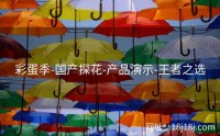 彩蛋季-国产探花-产品演示-王者之选