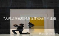 7大亮点探花视频深度体验萌新不迷路