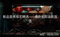 新品首秀探花精选——爆款追踪追剧首选