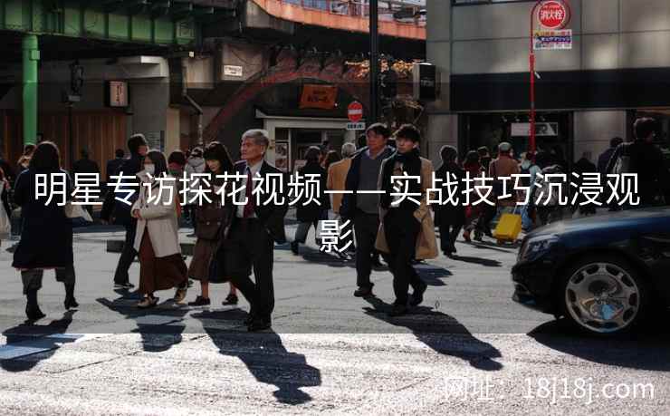 明星专访探花视频——实战技巧沉浸观影