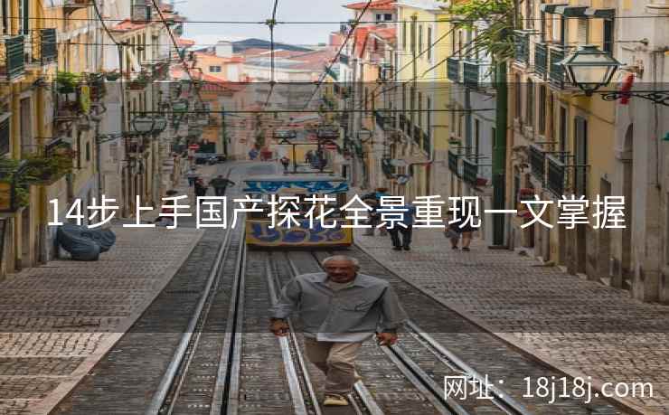 14步上手国产探花全景重现一文掌握