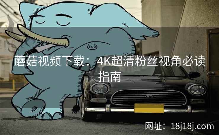 蘑菇视频下载：4K超清粉丝视角必读指南