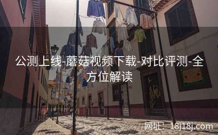 公测上线-蘑菇视频下载-对比评测-全方位解读