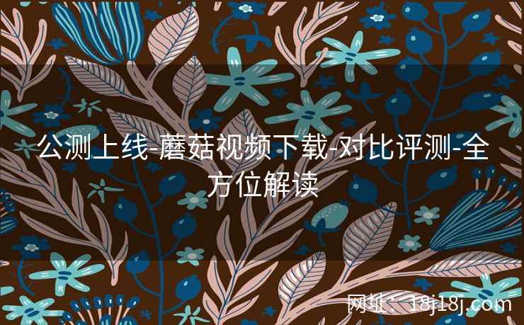 公测上线-蘑菇视频下载-对比评测-全方位解读