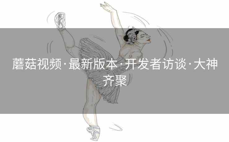 蘑菇视频·最新版本·开发者访谈·大神齐聚 蘑菇视频·最新版本·开发者访谈·大神齐聚