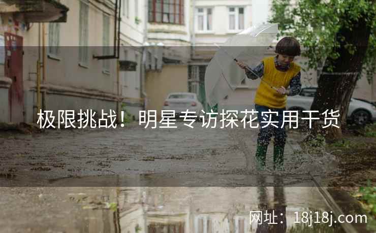 极限挑战!明星专访探花实用干货 极限挑战!明星专访探花实用干货