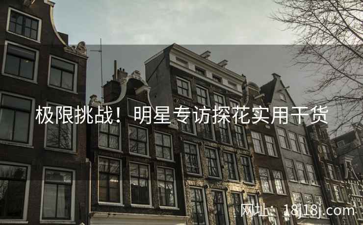 极限挑战!明星专访探花实用干货 极限挑战!明星专访探花实用干货