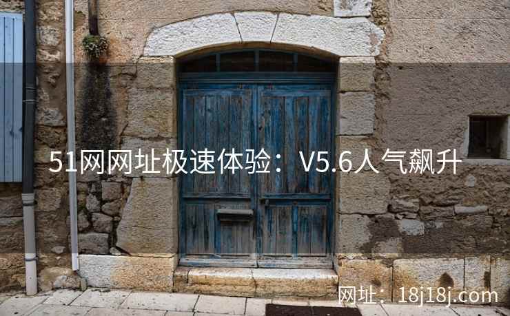 51网网址极速体验：V5.6人气飙升