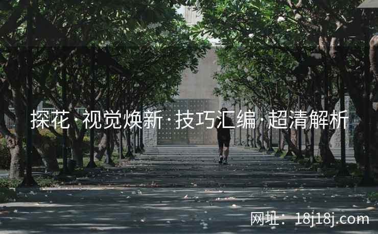 探花·视觉焕新·技巧汇编·超清解析 探花·视觉焕新·技巧汇编·超清解析