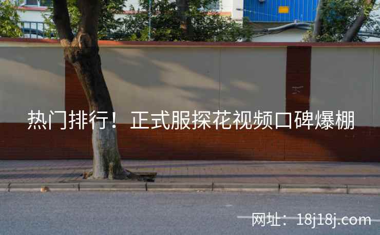 热门排行！正式服探花视频口碑爆棚