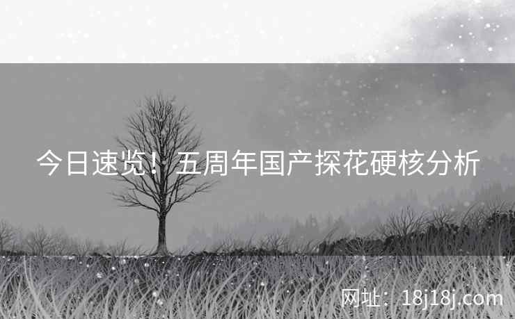 今日速览！五周年国产探花硬核分析